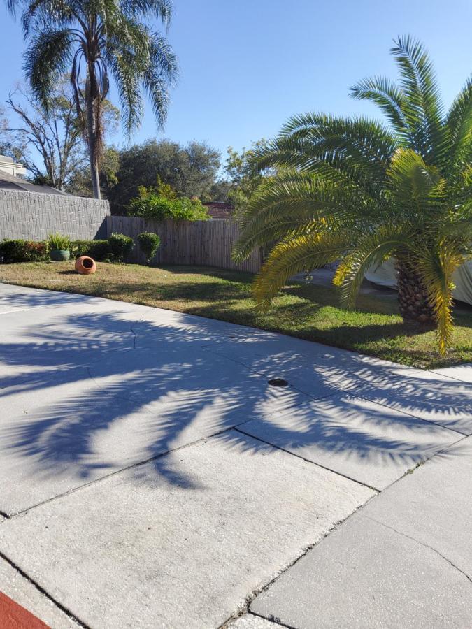 Beautiful Close To Everything Apartment Tampa