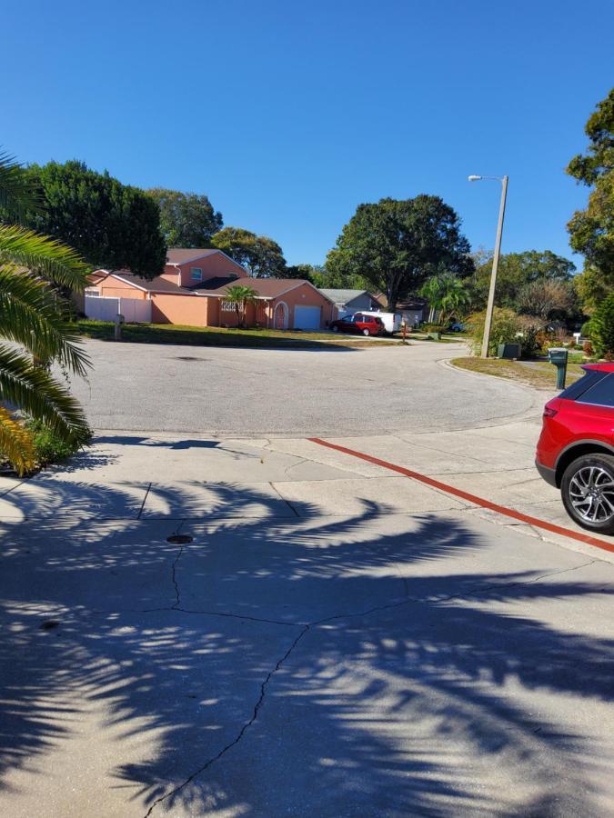 Apartment Beautiful Close To Everything Tampa
