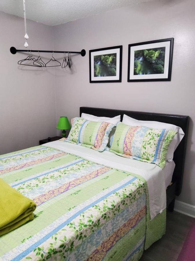 Apartment Beautiful Close To Everything
