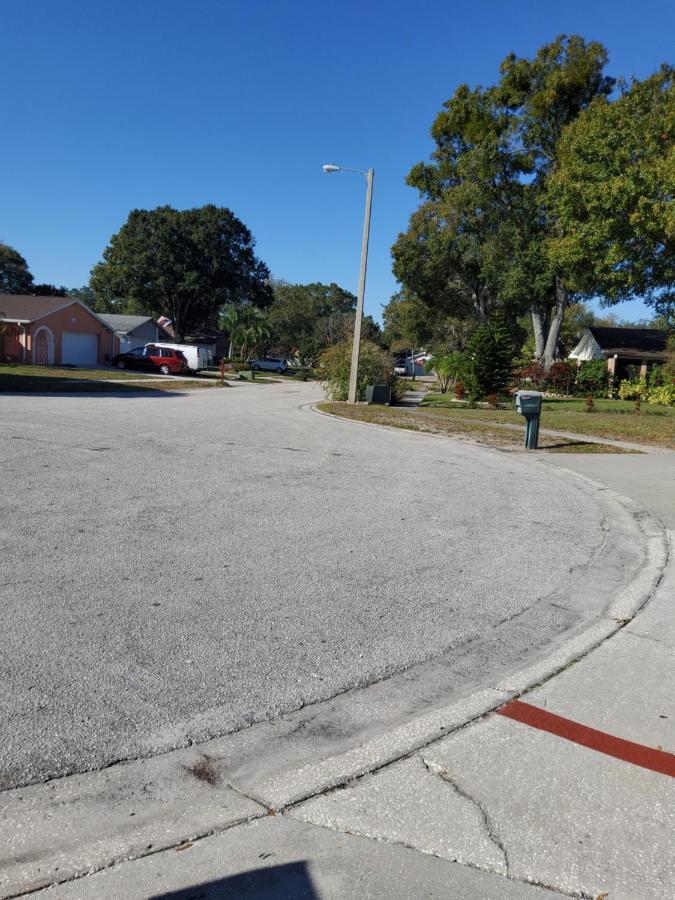 Beautiful Close To Everything * Tampa
