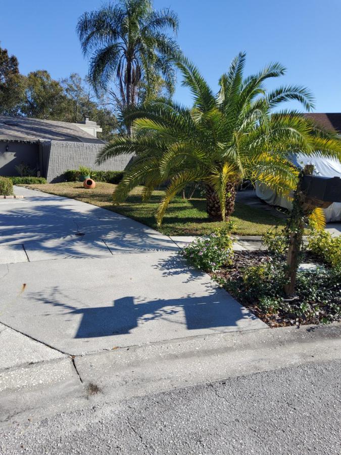 Apartment Beautiful Close To Everything Tampa