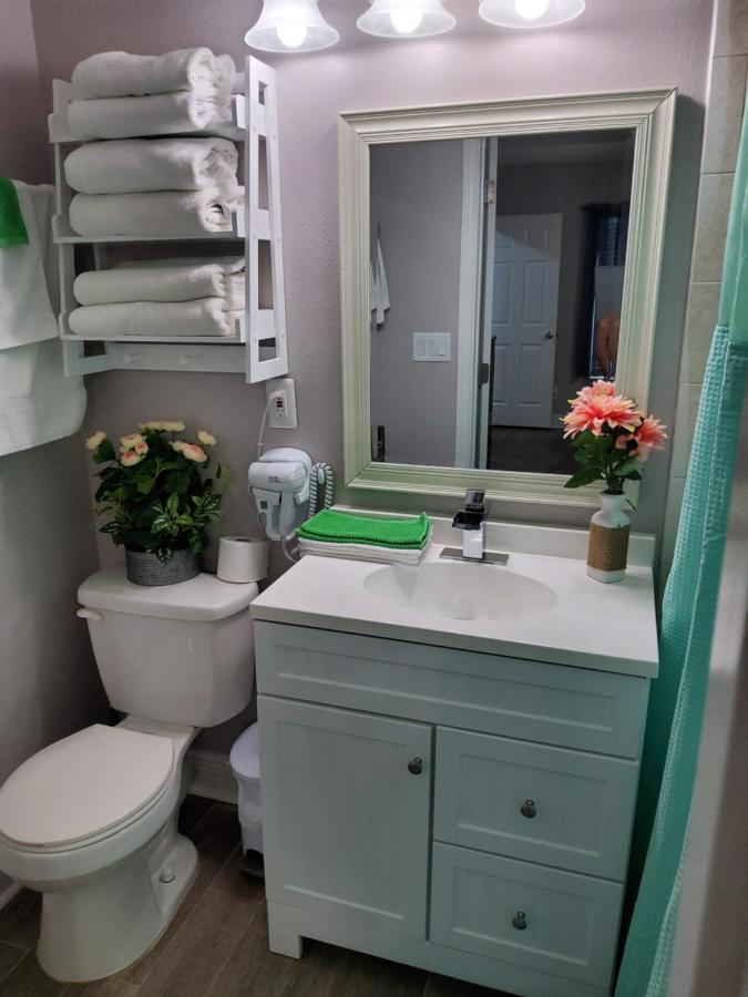 Beautiful Close To Everything Apartment Tampa